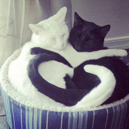 Love in black and white