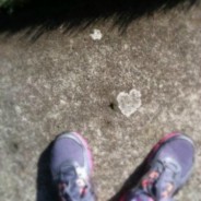 sidewalk speaks the language of love