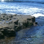 San Diego surf with a heart