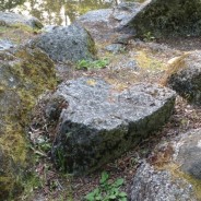 the solid rock